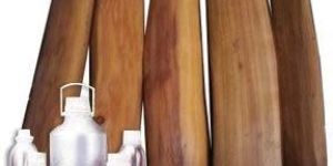 Sandalwood Oil