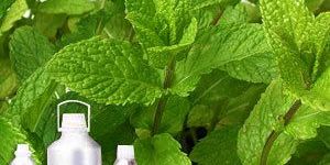 Spearmint Oil