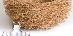 Vetiver Absolute Oil