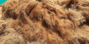 Coir Fibre