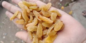 Dried Grass