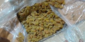 Dry Grapes