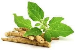 Ashwagandha Root