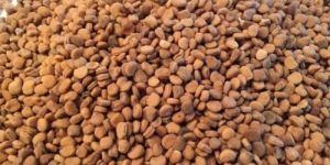 Ashwagandha Seeds , Withania Somnifera