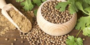 Coriander Seeds , Dhaniya Seeds