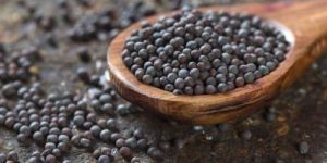 Black Mustard Seeds