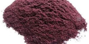 Spray Dried Blueberry Powder