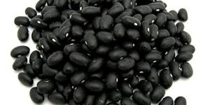 Black Kaunch Seeds