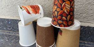 Eco Friendly Disposable Paper Cup