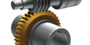 Worm Gear