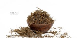 Shankhpushpi Panchang