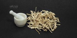 Shatavari White Roots