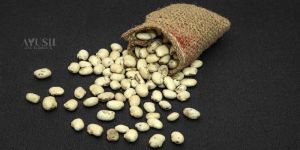 White Kaunch Seeds, Mucuna Prurien