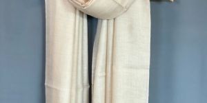 Pashmina Shawls