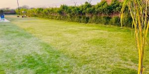 Farmland for Sale in Ansal Aravali Hills near Pathways World School Gurgaon
