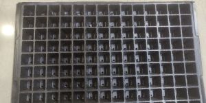 Seedling Tray