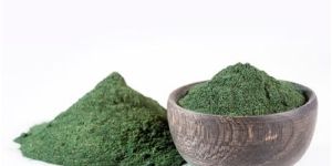 Spirulina Powder
