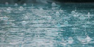 Rain Water Harvesting