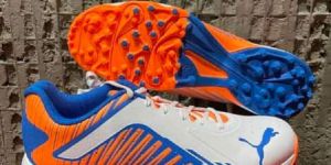 Cricket Shoes