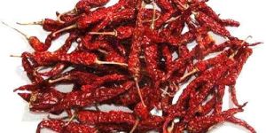 Byadgi Dried Red Chilli
