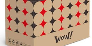 Printed Corrugated Box