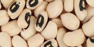 Black Eyed Beans