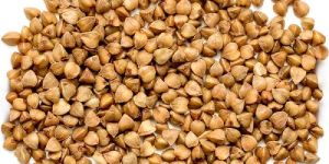 Buckwheat Seeds