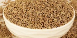 Europe Quality Cumin Seeds