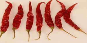 S17 Teja Dried Red Chilli with Stem