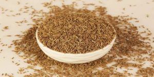 Singapore Quality Cumin Seeds