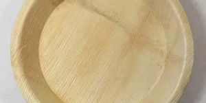 10 Inch Areca Leaf Plates