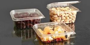 Plastic Hinged Lid Container