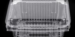 Transparent Disposable Fruit Container