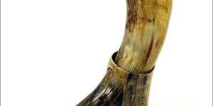 High Quality Buffalo Drinking Horn