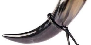 Viking Buffalo Drinking Horn