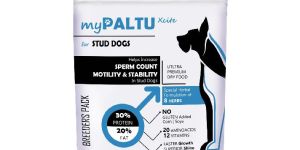 1kg MyPaltu Xcite Stud Dog Food