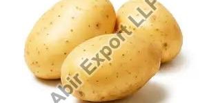 Fresh Potato