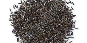Niger Seeds
