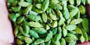 Cardamom