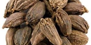 Black Cardamom