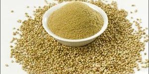 Coriander Powder