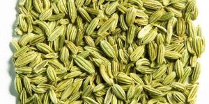 Fennel Seeds