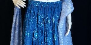 Embroidered Lehenga Choli