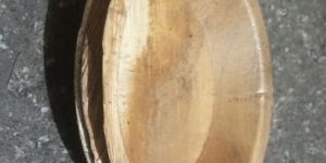 Disposable Areca Plates