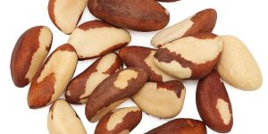 Brazil Nuts