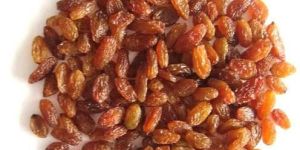Brown Raisins