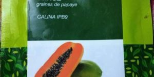 IPB9 Papaya Seeds