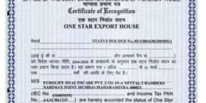 DGFT Star Export House Certification Services