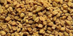 Fenugreek Seeds