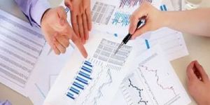 Project Report Services